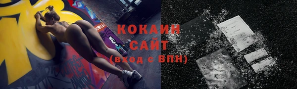 прущий лед Алзамай