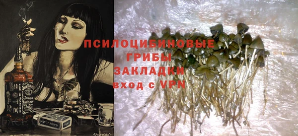 бошки Ельня