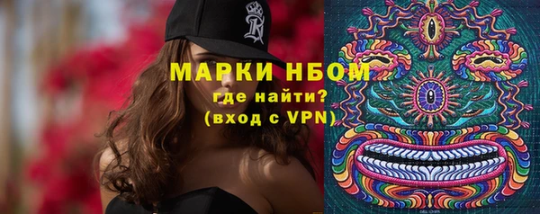 прущий лед Алзамай